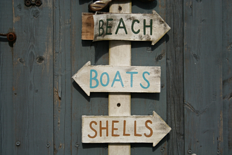 Beach.  Boats.  Shells.