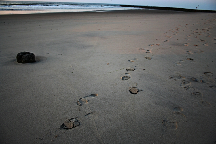 Footprints.