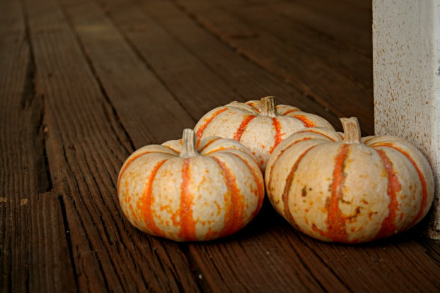 Speckled pumpkins.