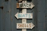 Beach.  Boats.  Shells.