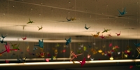 Cranes.