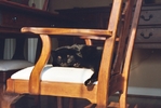 Enjoying the sun.
