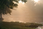Hazy morning.