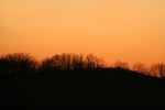 Orange sky.