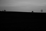 On the hill.