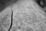 Weathered log.