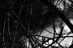 Tangle.